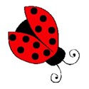 ladybug3