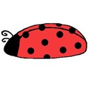 ladybugs2