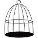 BirdCage 