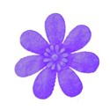 blue flower4