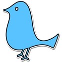 BlueBird_1