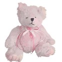 pink teddy bear