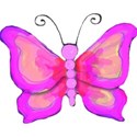 pink butterfly