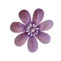 purple flower