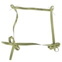 ribbon frame pinned 1