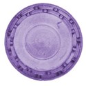 circle purple