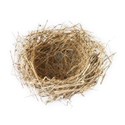 nest 01