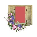 cluster shutter frame flowers no bird