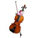 z violin cluster 2
