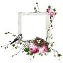 cluster frame freebie 01