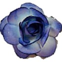 blueflower1