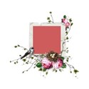 cluster frame freebie 01