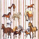 horses