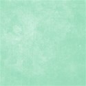 bos_bog_paper01