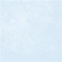 bos_bog_paper05