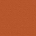 jThompson_autumn_paper12