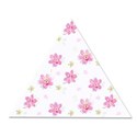 triangle 16