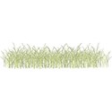 oohnahh_aprils_grass