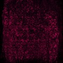 deep red background paper