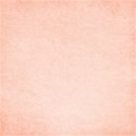lisaminor_primavera_paper_s