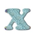 xx