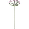 Stem