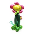   balloon flower 1