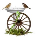 backyard sanctuary cluster birdbath wheel