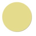 circle-yellow