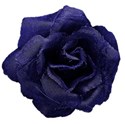 dark blue denim rose