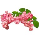 Pink_Bouquet2
