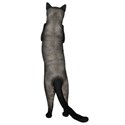 cat back