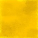 Yellow_Edged