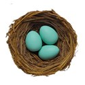 nest eggs 4