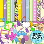 Spring Blooms