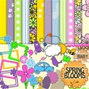 Spring BloomsB