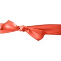 pamperedprincess_shabbystnick_ribbon wrap