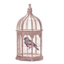 vintage bird in cage