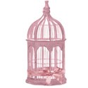 pink bird cage with bow