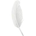OneofaKindDS_Love-is-in-the-Air_Feather