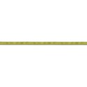 SCD_WalkinthePark_ribbon1