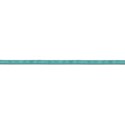 SCD_WalkinthePark_ribbon2