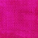 PP7_tropical_mikkilivanos