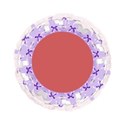 blue and pale pink circle frame
