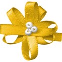 bow flower yellow