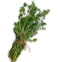 thyme