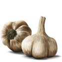 Garlic Cloves