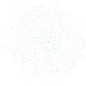 doily
