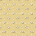 backsd-dpc6