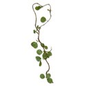 greenery vine 01